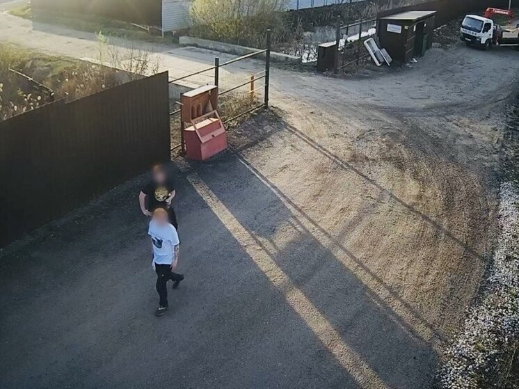 Двум жителям Балашихи грозит до 10 лет колонии за поджог травы