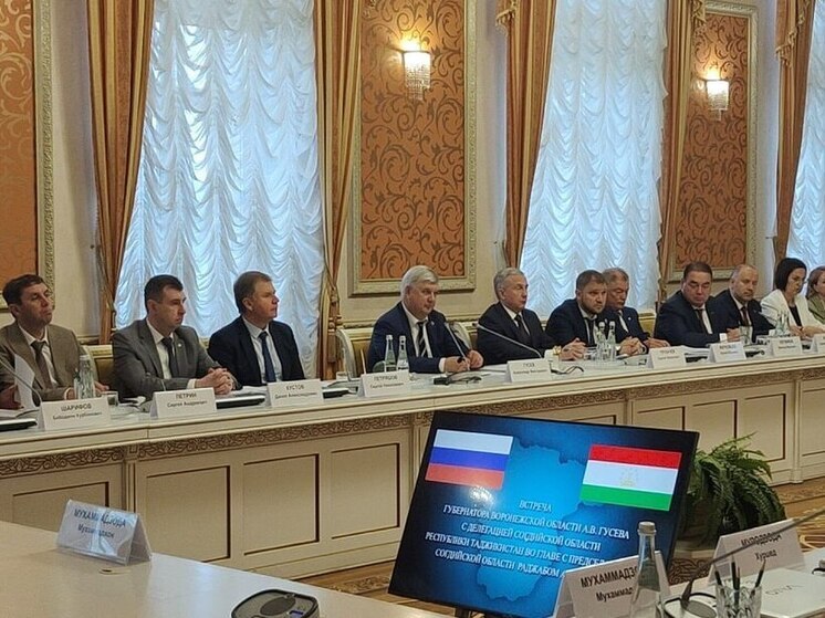 Губернатор Воронежской области озвучил намерение расширить взаимодействие с Таджикистаном