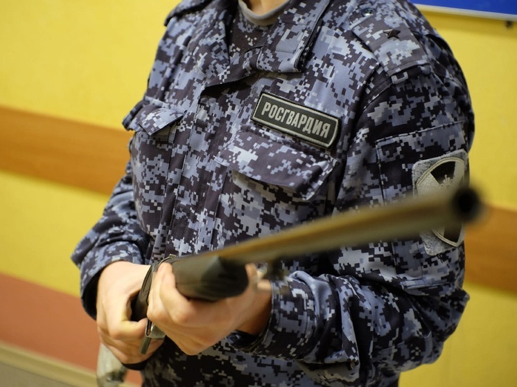 О штрафах за нарушение правил стрельбы рассказали в НАО