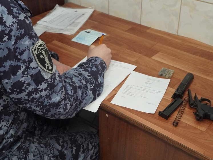 Жителей НАО предостерегли от самостоятельного ремонта огнестрела