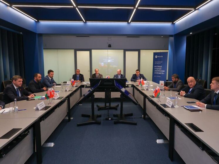 Энергетики из России, Белоруссии и Грузии обсудили за круглым столом будущее электрических сетей