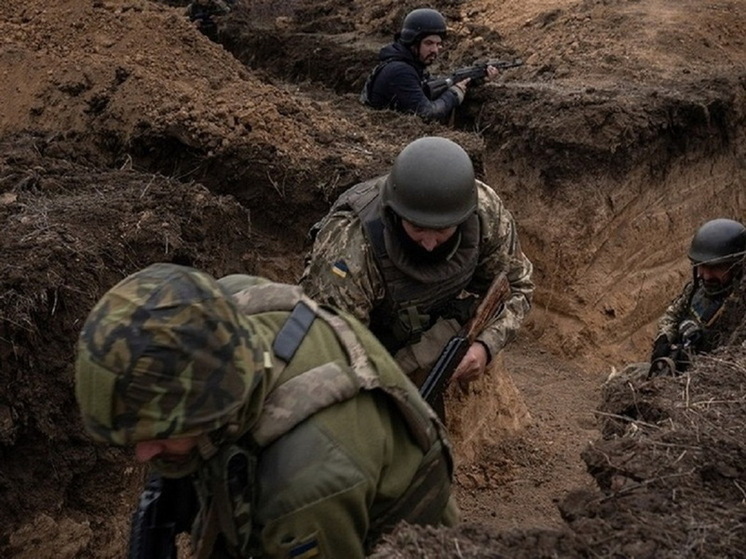 Глава трибунала по Украине высказался за смертную казнь для ВСУ в Курской области