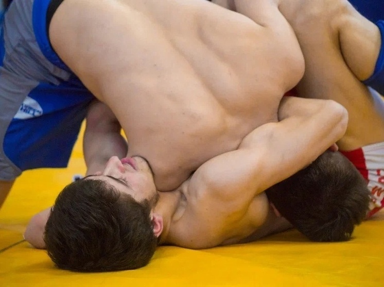 Спортсмены из Тверской области принимают участие в чемпионате России по ММА