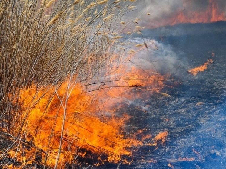 Астраханцам грозят штрафы за нарушение правил пожарной безопасности