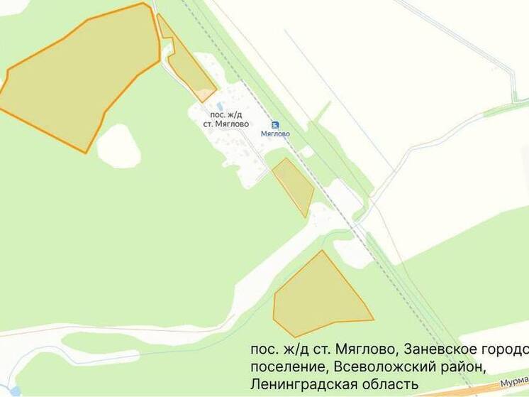 Ещё 10 участков возвратились в госсобственность по итогам судебных дел о «летающих паях», инициированных администрацией Заневского поселения. Подробности рассказали в пресс-службе администрации.
