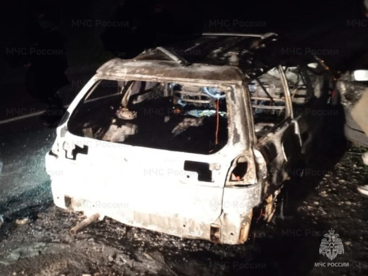 Под Перемышлем на дороге сгорел автомобиль