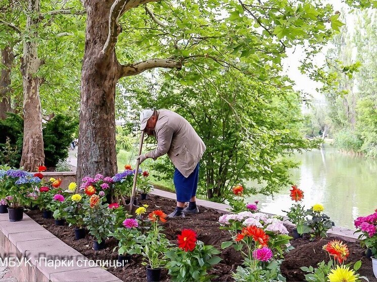 В Симферополе продолжается высадка летних цветов