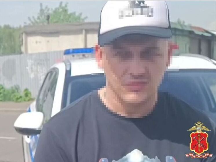 Полицейские задержали водителя, избившего таксиста в Кудрово