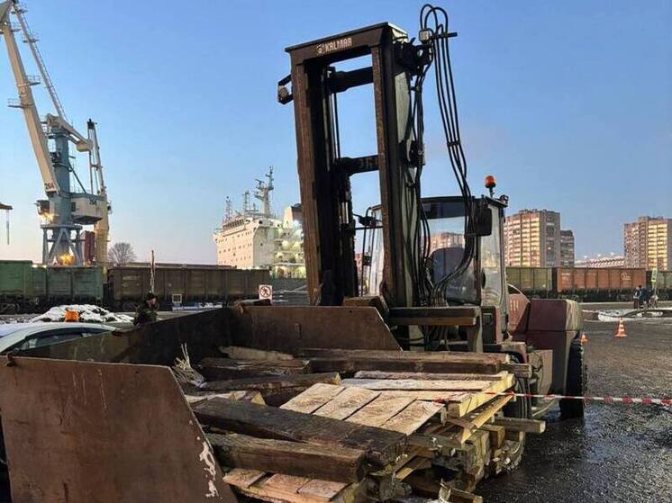В Петербурге водителя погрузчика будут судить за смерть сотрудницы в порту