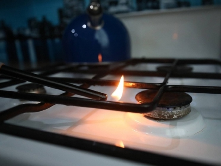 Газовики в Волгоградской области выявили 13 несанкционированных подключений