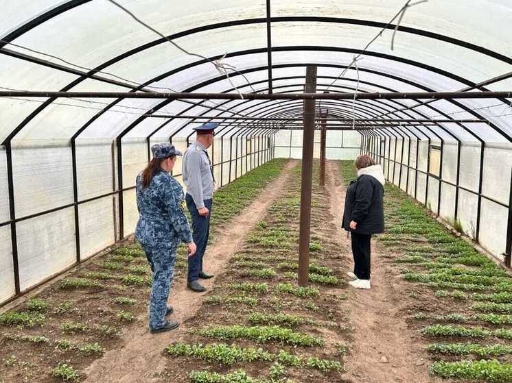 Благодаря госконтрактам работу получили 130 осуждённых калининградских колоний