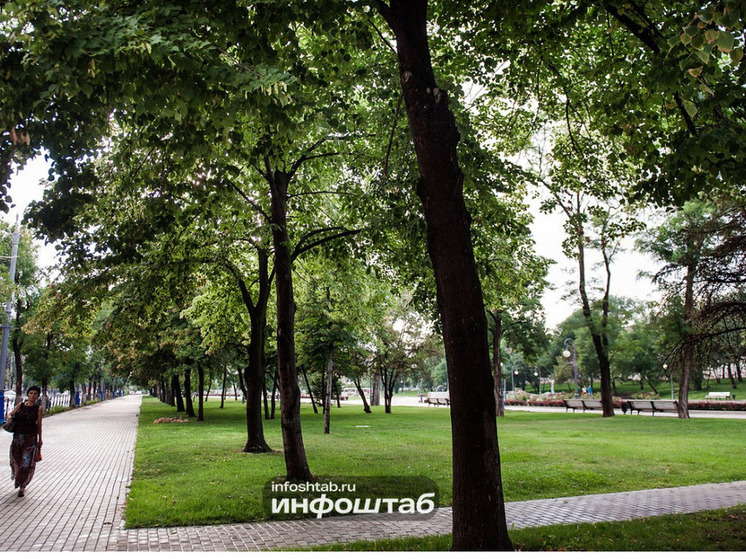 Туристы смогут снова полюбоваться на астраханского краснокнижного геккона