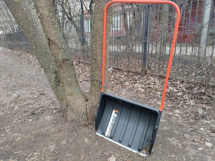Калининградцев пригласили помочь в уборке парка у Велосипедной дороги