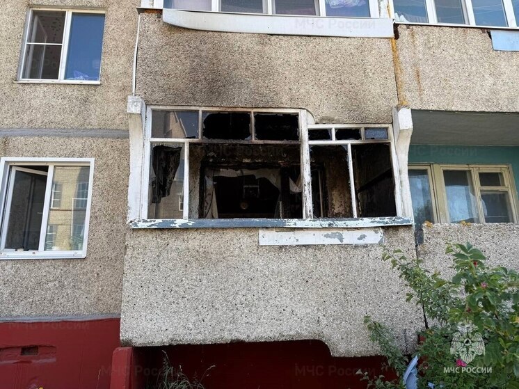 Сотрудники МЧС спасли от пожара квартиру в Шумерле