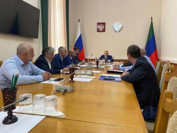 Дагестан направит 100 млн рублей на поддержку предприятий шерстяного кластера
