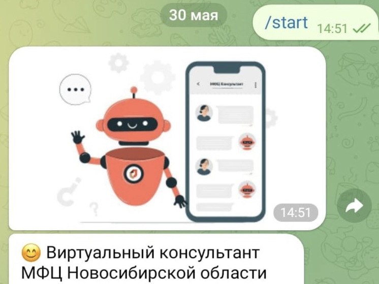 За три месяца в Новосибирской области чат-бот МФЦ обработал 6,5 тысячи запросов