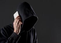 В МВД России предупредили о новой схеме мошенничества с аккаунтами на портале "Госуслуги"