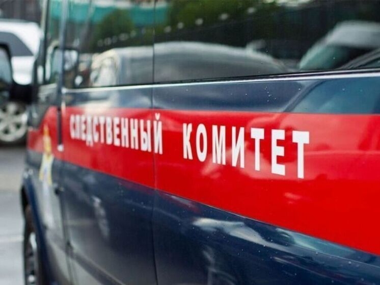 После смерти экс-профессора МГУ Бояринцева завели дело о доведении до суицида