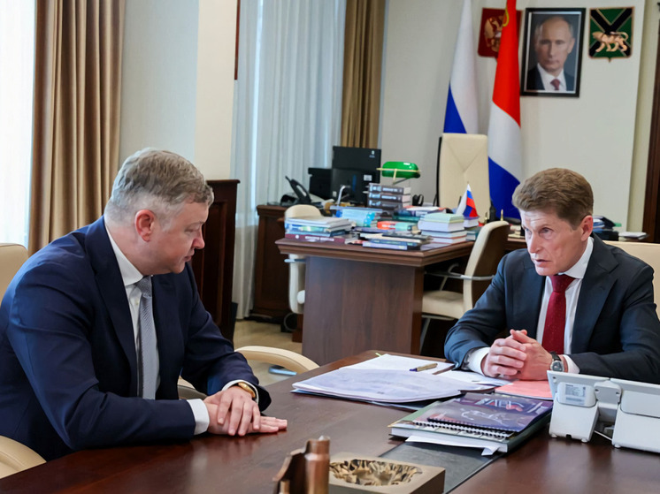 В стране начнут усиленно поддерживать лесную отрасль Приморья