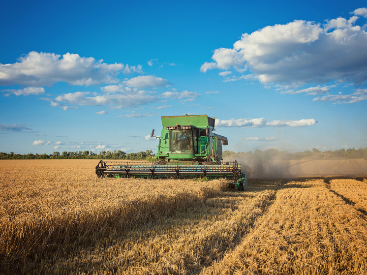 В Калужской области завершается посевная
