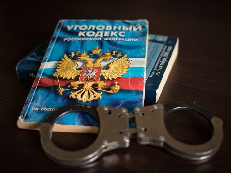 Александр Бастрыкин сообщил, что Карелия лидирует по уровню подростковой преступности