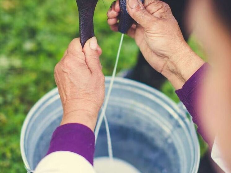 В Ульяновском районе определили лучших калужских дояров