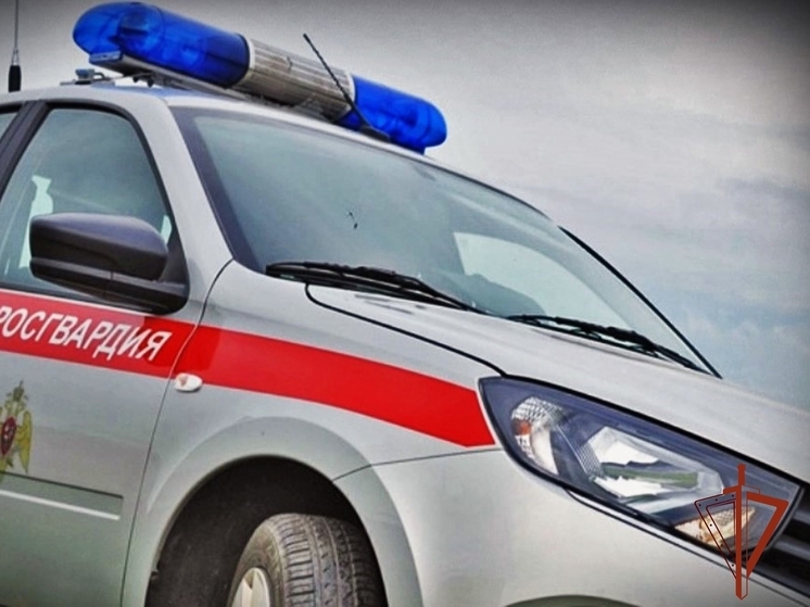 В Хакасии росгвардейцы помогли найти водителя, покалечившего пешехода на зебре