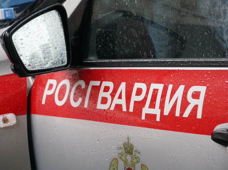 Агрессивный пациент ударил кулаком в подбородок росгвардейца в Петрозаводске