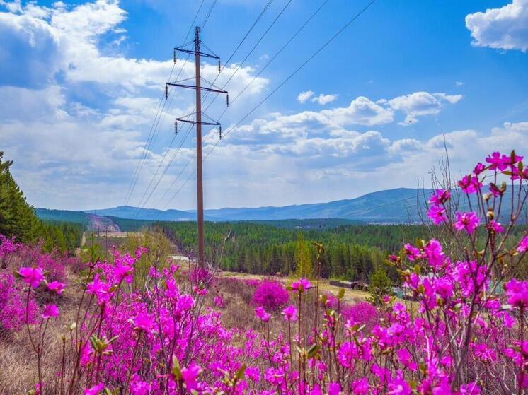 Житель Саяногорска выиграл у энергетиков суд