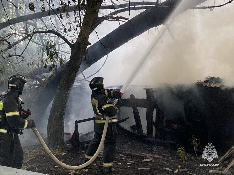 В Орле ликвидировали возгорание хозпостроек на улице Красноармейской