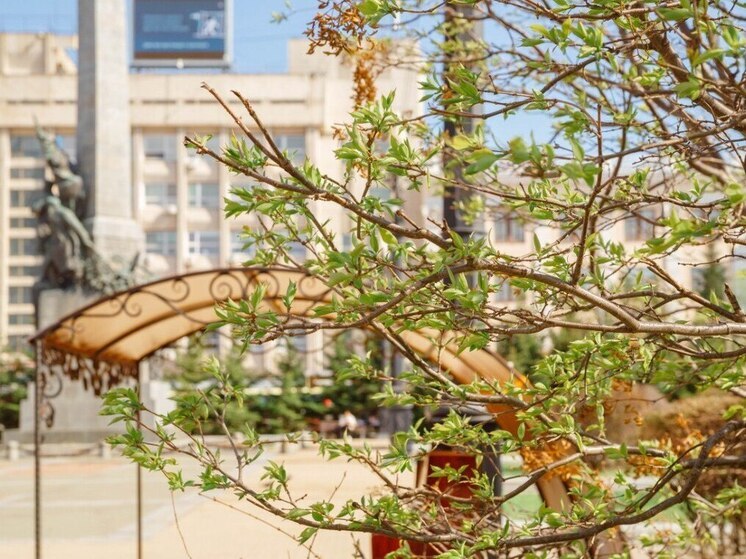 На улицах Хабаровска ограничили движение для городского арт-фестиваля