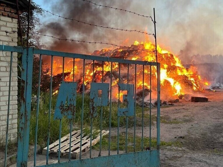 Количество пострадавших от атаки ВСУ курян выросло до 14 человек