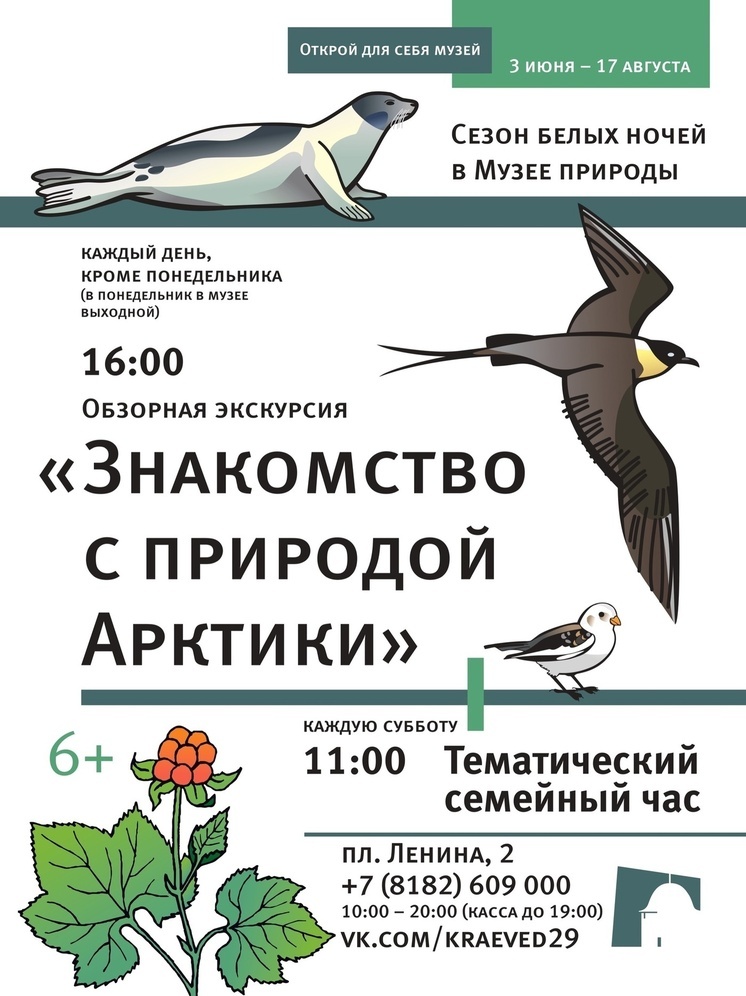 В Архангельском краеведческом музее - «Сезон белых ночей»