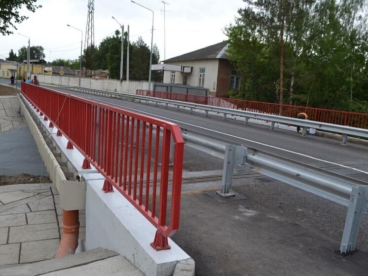 Мост через Шаню в Дзержинском районе признали безопасным