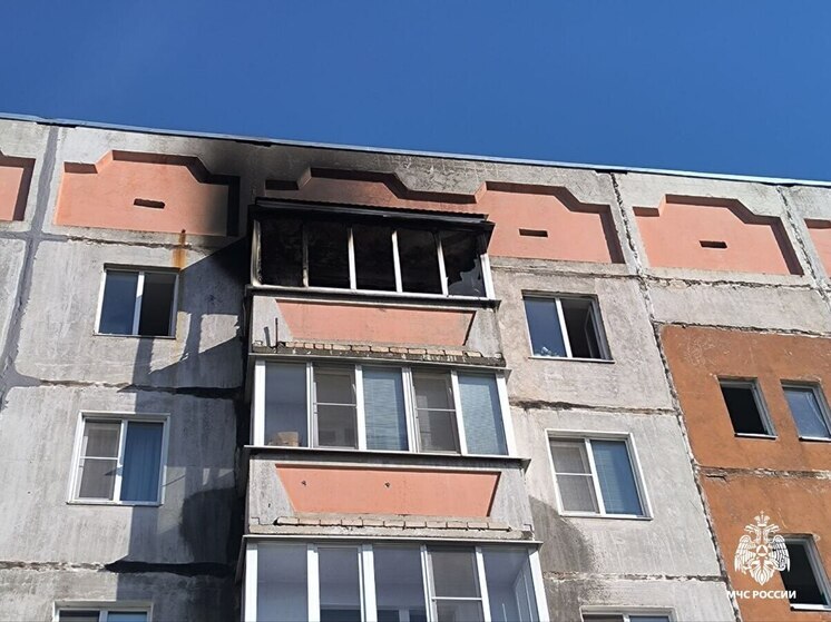 Нагретая солнцем бутылка привела к пожару в Канаше