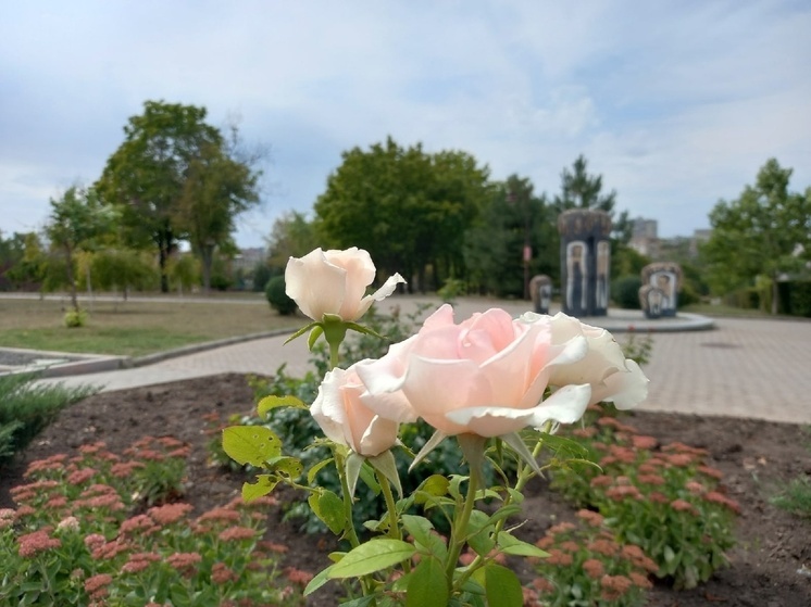 Жителей ДНР ожидают мини-каникулы