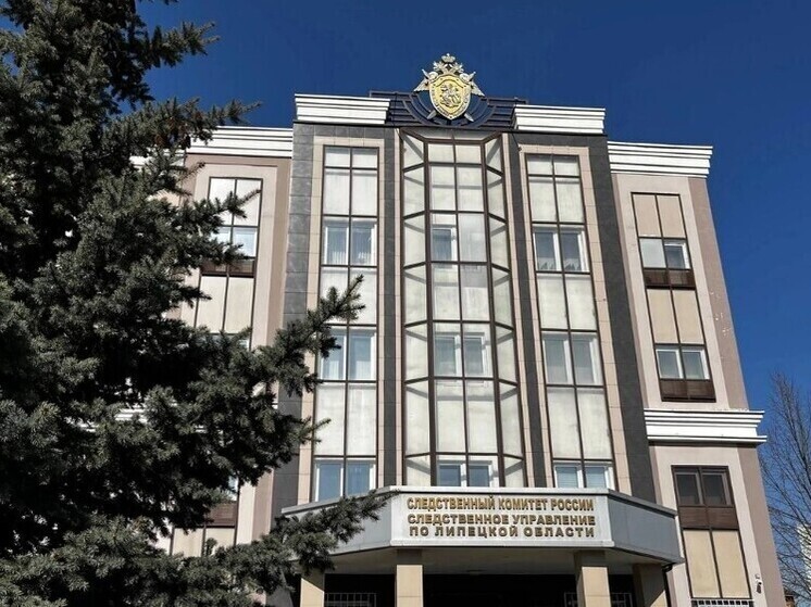 Жителя Липецкой области осудили за попытку дать взятку инспекторам ДПС