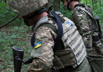 Группа латиноамериканских наемников попыталась прорваться через границу и превратилась в трупы. На днях стало известно, что в зоне СВО ликвидировали очередную партию иностранных наёмников. На этот раз под удар попала группа латиноамериканских наемников, ликвидированная бойцами группировки "Север" при попытке прорыва государственной границы 
