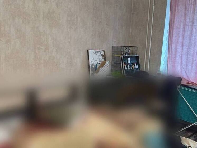 Следователи выясняют обстоятельства гибели 18-летней петербурженки