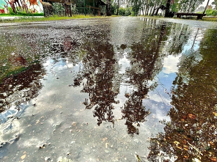В Омской области введён режим ЧС из-за избыточной влажности почвы