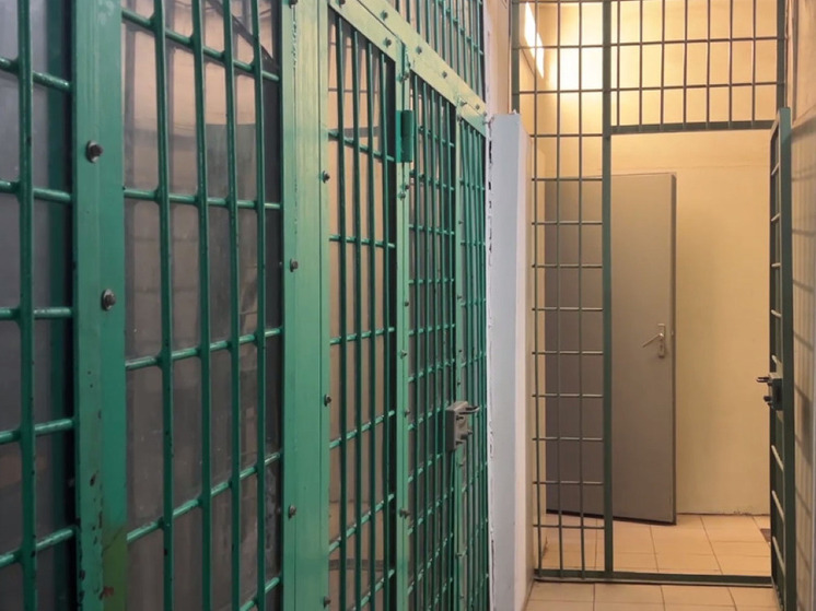 Жительницу Рузы заключили под стражу за убийство сожителя