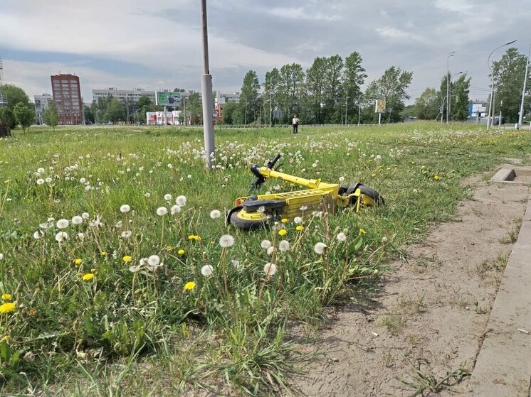 В Калининграде возбудят уголовное дело против самокатчика, сбившего женщину