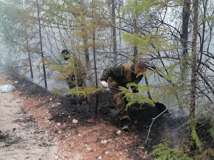 Огнеборцы поймали «голову» лесного пожара около поселка Дарасун