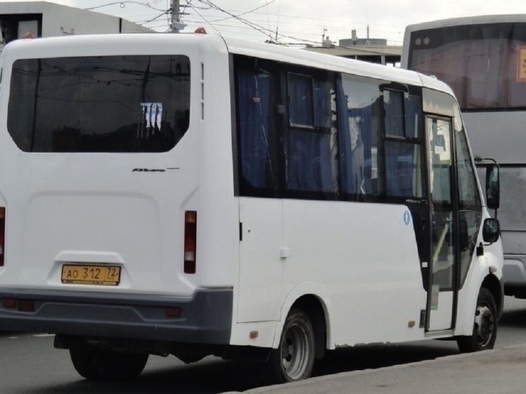 В Новосибирске схема движения маршруток №29 и 29а изменится с 1 июня