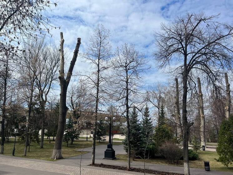Изменения в движении автотранспорта в центре города связаны с празднованием Дня защиты детей