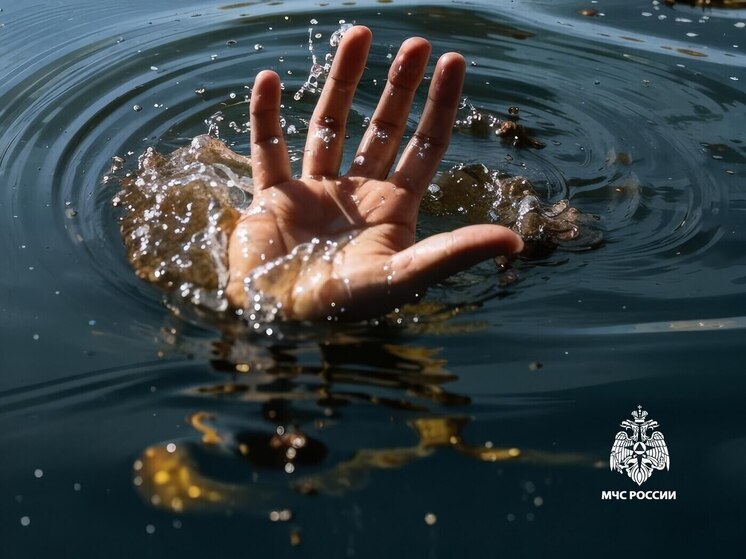 Юноша утонул в пруду в Канашском округе