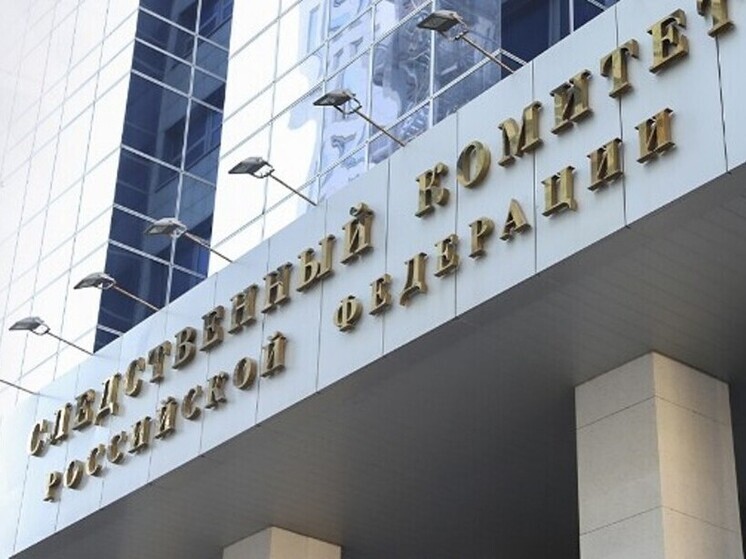 Бастрыкин поручил возбудить дело из-за нарушения прав многодетных в Липецкой области