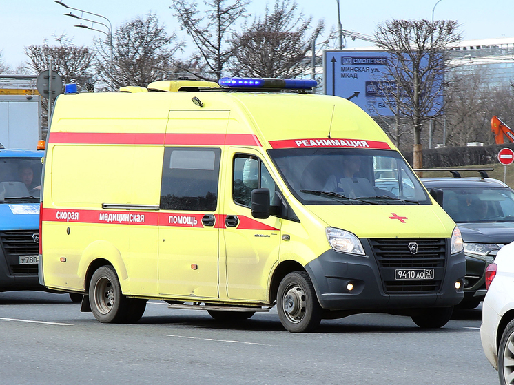 Практически каждую неделю в мае происходит ДТП с участием лосей, а за последние дни уже зафиксированы три подобных происшествия
