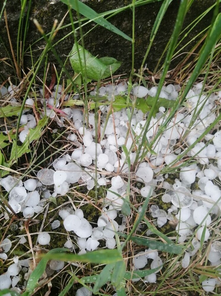 Палехский район засыпало градом