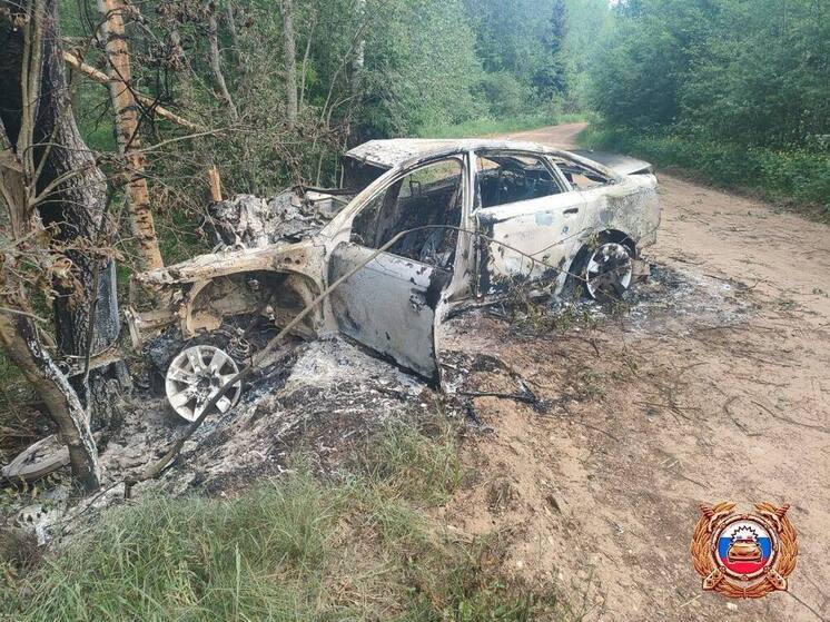 В Тверской области Audi врезалась в дерево и полностью сгорела